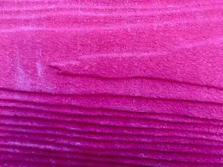 Fototapeta na wymiar pink sponge texture