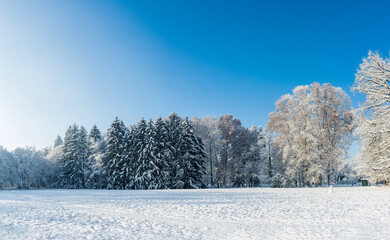 Beautiful park on a sunny snow cold day in Zagreb, Croatia