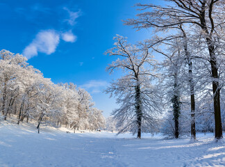 Beautiful park on a sunny snow cold day in Zagreb, Croatia