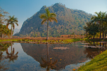 landscape with trees and lake in Pai, Thailand