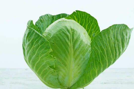 Green whole cabbage isolated on white background - Image