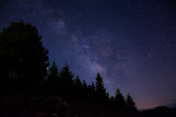 The Milky Way rises over the pine trees on a foreground. the night sky with stars and trees. Milky Way in sky full of stars. Summer mountain landscape in night.