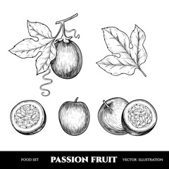 Vector passion fruit hand drawn sketch. Sketch vector  food illustration. Vintage style