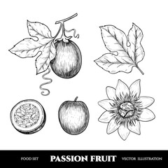 Vector passion fruit hand drawn sketch. Sketch vector  food illustration. Vintage style - obrazy, fototapety, plakaty