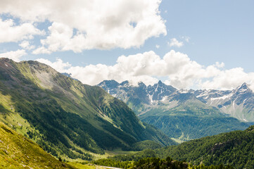 Obraz premium Poschiavo, Puschlav, valposchiavo, Bernina, Val Bernina, Berninapass, Passhöhe, Wanderweg, Ospizio Bernina, Zugfahrt, Zugreise, Wasserscheide, Lago Bianco, Alpen, Graubünden, Sommer, Schweiz