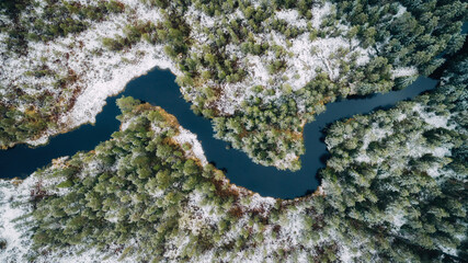 Winter forest with small curving river top down drone aerial view. Winter season. © raland