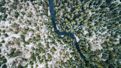 Winter forest with small curving river top down drone aerial view. Winter season.