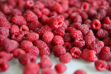 a lot of raspberries on a white background, close-up, red, ripe	
