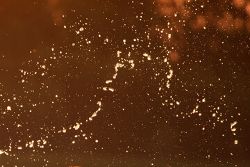 Obraz premium Water spray at sunset in summer.