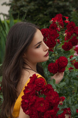 beauty portrait in a rose garden - 367527914