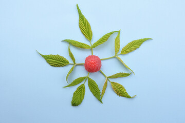 Ripe raspberries with green leaf on blue background. top view