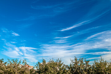 Fototapeta premium Beautiful blue sky background, wide angel shot.