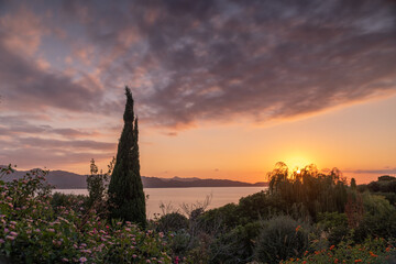 A sunset in a beautiful garden by the sea