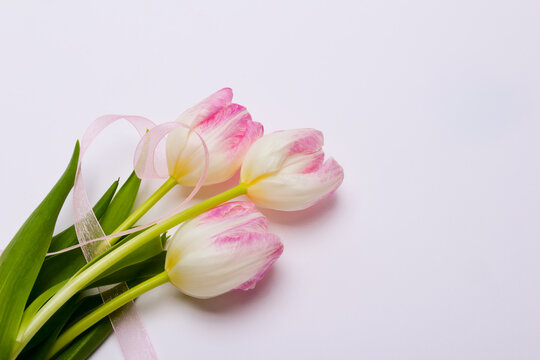 Tulpen mit Herz-Band