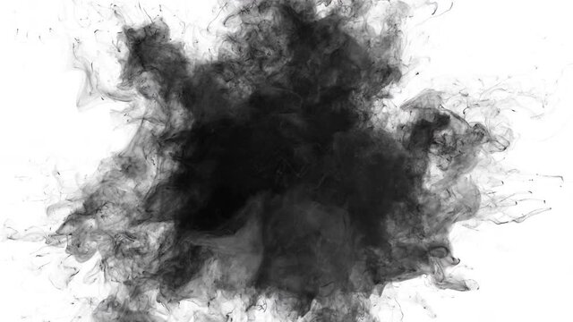 Smoke Burst - black powder gas explosion. Fluid ink particles slow motion alpha channel isolated on white 4k