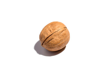 Closeup on isolated walnut in shell