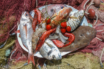 fresh fish just caught and put on the fishermen's net with lemon and tomato in the Puglia region of...