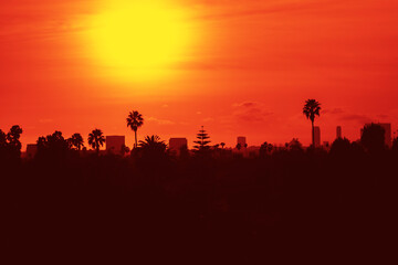 Sunset over Los Angeles skyline with buildings and palm trees in California