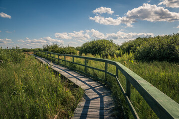 Calowanie Swamp - wooden footbridge on the peatbog in the Masovian Landscape Park, Karczew, Poland
