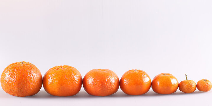 tangerines with eyes of different sizes on a white background