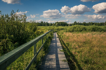 Obraz na płótnie Canvas Calowanie Swamp - wooden footbridge on the peatbog in the Masovian Landscape Park, Karczew, Poland