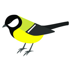 great tit mouse vector illustration of a yellow bird