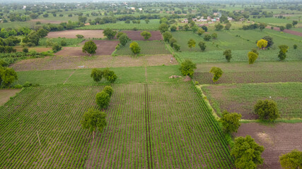 Aerial top view of agriculture field