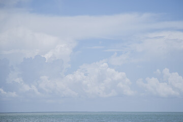 10000 islands south west florida 