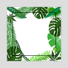 Frame made of tropical leaves, various wild plants, jungle. Various tropical green leaves on white isolated background. Square flower frame. Suitable for social networks, banners, invitations.