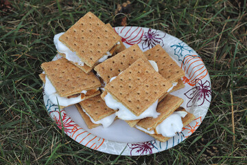 Homemade smores with large white marshmallows.