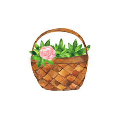 Fototapeta na wymiar Brown wood basket with green leaves and pink rose flower. Hand drawn watercolor illustration.