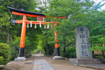 京都 宇治上神社 鳥居