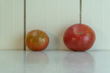 Two homegrown striped tomato orange and red in white rustic kitchen. Village vegetables is good for...
