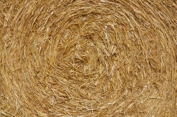 Strohrolle nach der Ernte