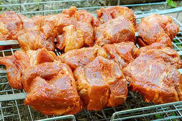 Freshly juicy marinated meat on the grill. Cooking food over an open fire and coals. Picnic in nature. Fresh meat for the barbecue