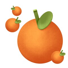 Orange fruits  illustration in flat geometric form on white background.