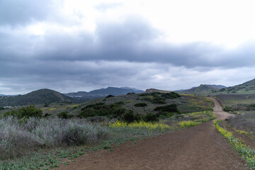 hiking trail in the mountains of california