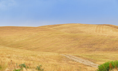 Fototapeta premium The fields on the hills look very beautiful after the harvest. Combine traces leave interesting drawings