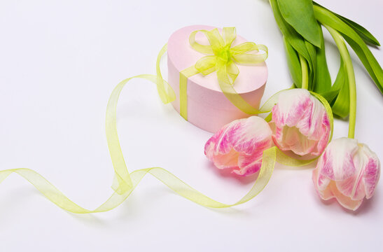 Tulpen mit Geschenkbox