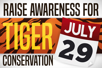 Striped Label and Calendar to Rise Awareness in Tiger Day, Vector Illustration