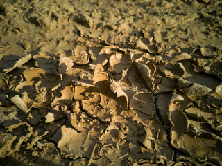 The ground is cracked because of drought.