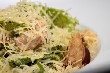 Salad with hard yellow cheese, herbs and chicken meat in a white plate. Restaurant menu