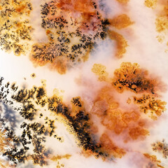 Moss Agate with Crystals Dendrite