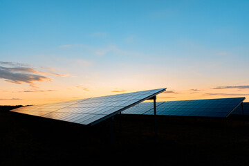 Solar Farm at Sunset - 367542383
