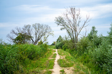 a natural road on a flood embankment near the lake, covered with natural greenery