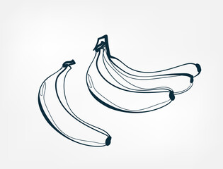 banana fruit vector one line art isolated illustration