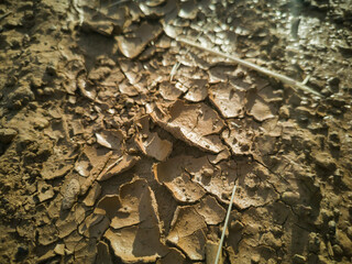 The ground is cracked because of drought.