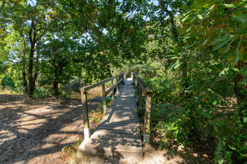 LEGE-CAP FERRET (Bassin d'Arcachon, France), le canal des étangs