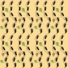 pattern with ants, ant path