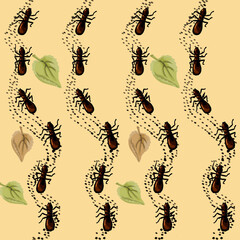 pattern with ants, ant path